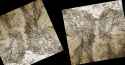 1.65 MB