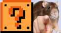 18 KB