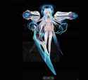 195 KB