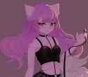 1.61 MB
