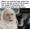 259 KB