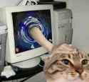 19 KB