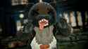 1.18 MB