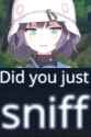 337 KB