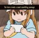 23 KB