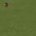 423 KB