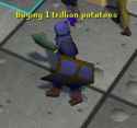 20 KB