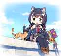 2.97 MB