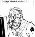23 KB