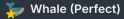 8 KB