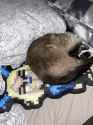 602 KB