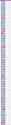 1.21 MB