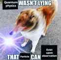 193 KB