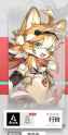 161 KB