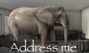 440 KB