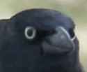 93 KB