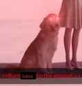 14 KB