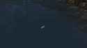 2.47 MB