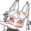 255 KB