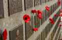 1.26 MB