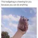 48 KB