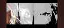 1.23 MB