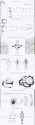 1.05 MB