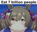 244 KB