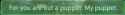 75 KB