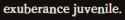 2 KB