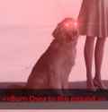 7 KB
