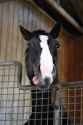 951 KB