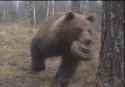 282 KB