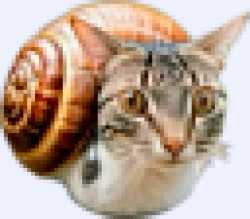 15 KB