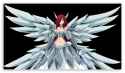 fairy_tail_erza-t2