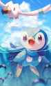 wingull_piplup