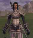 ffxi 30 dragoon warrior