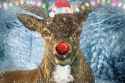 the-history-and-magic-of-santas-reindeer-rudolph-christmas.co_.uk_-1