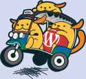 tuktuk-wapuu[1]