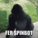 fer spinbot