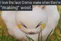 cremis &#039;&#039;making&#039;&#039; wool