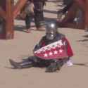 sad knight