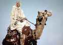 LawrenceOfArabia