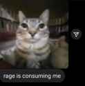 rage