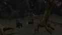 funhouse1