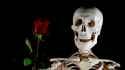 SkeleRose
