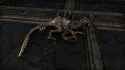 robo raptor