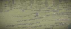 2025-05-25_07-22-35