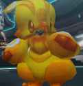 missing_chicken