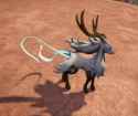 durr